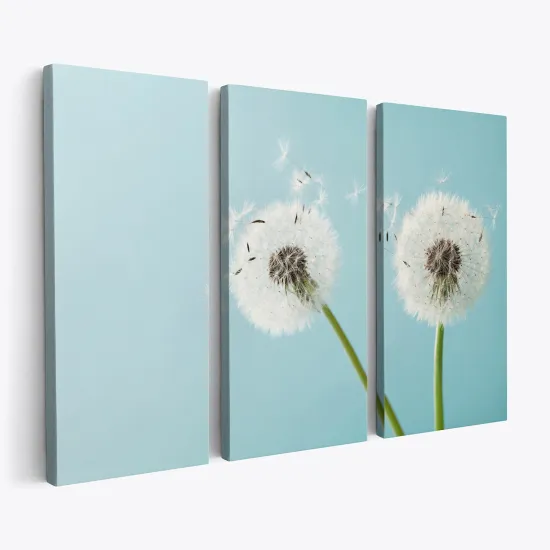 Triptych Canvas Prints - Dandelions