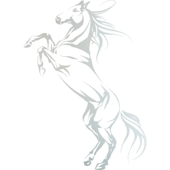 Stickers Dépoli - Cheval
