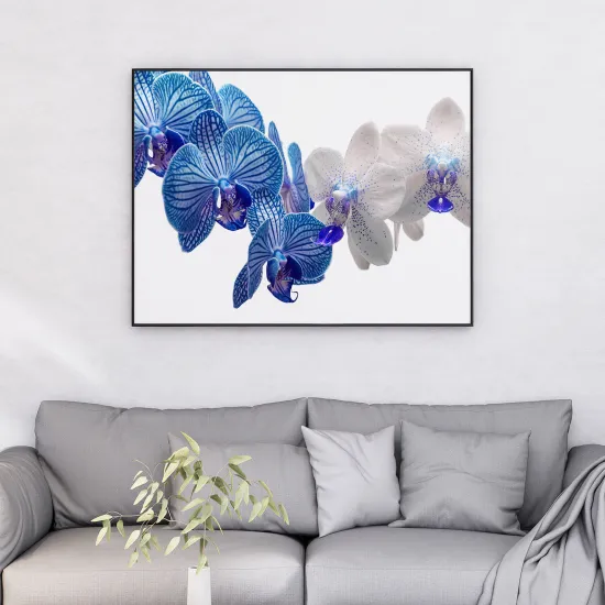 Póster - OrquÃdeas