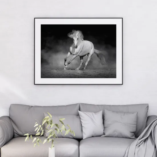 Póster - Caballo blanco