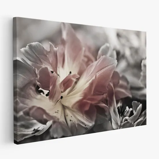 Cuadro en Lienzo - Flores