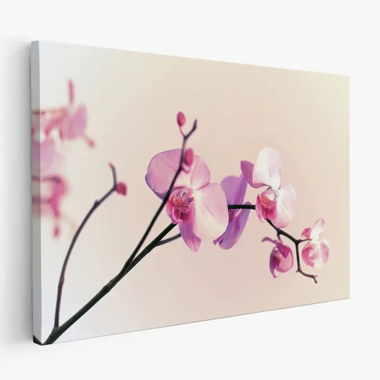 Cuadro en Lienzo - Orquídeas
