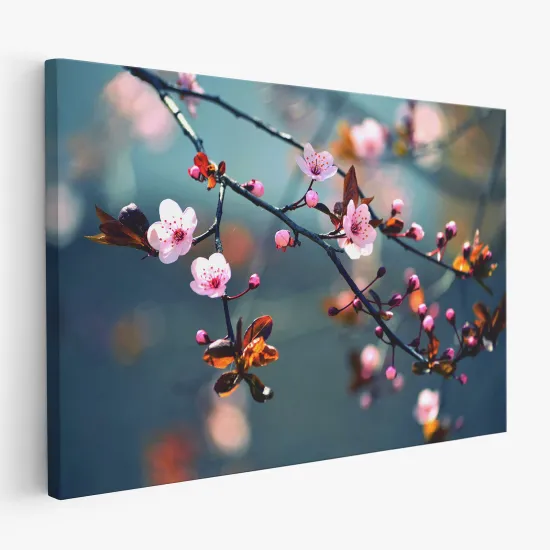 Tableau toile - Fleurs de Cerisiers