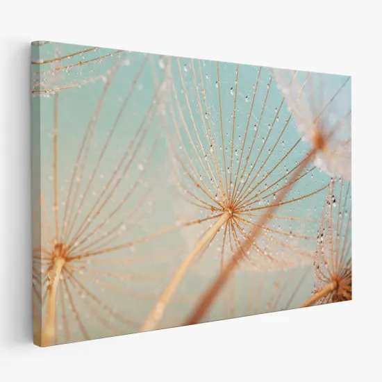 Tableau toile - Nature