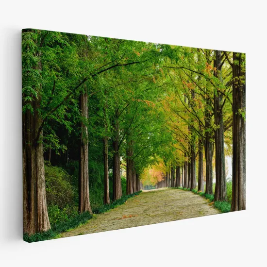 Tableau toile - Forêt