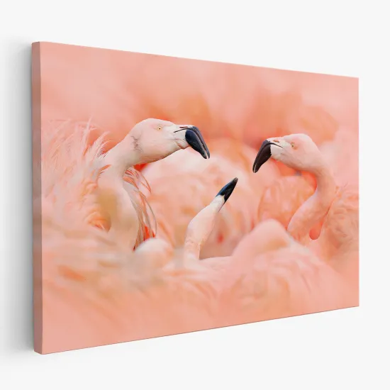 Leinwandbild - Rosa Flamingos