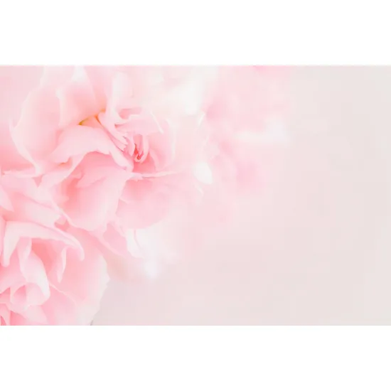 Panoramic Wallpaper - Wall Mural - Flowers