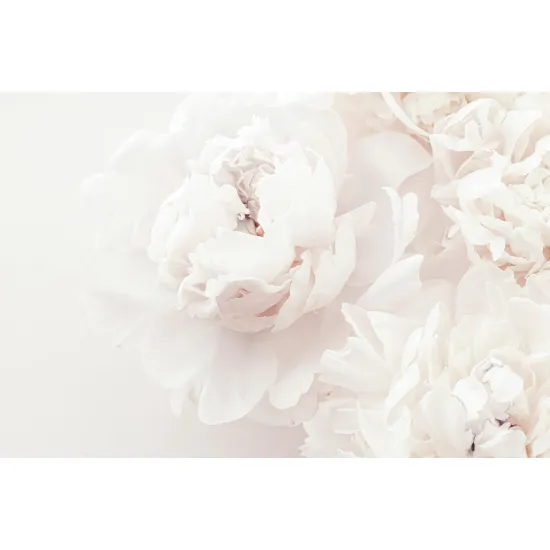 Papier peint panoramique - Fleurs