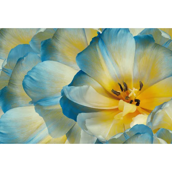 Papier peint panoramique - Fleurs