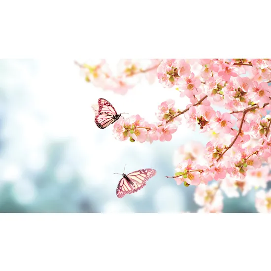 Papel pintado panorámico - Flores Mariposas