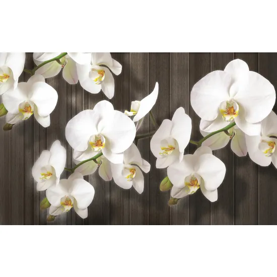 Papier peint panoramique - Fleurs