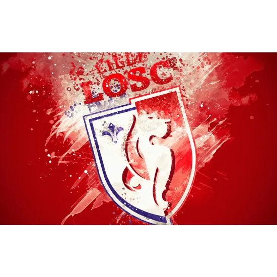 Panoramic Wallpaper - Wall Mural Foot / Football - LOSC - Lille
