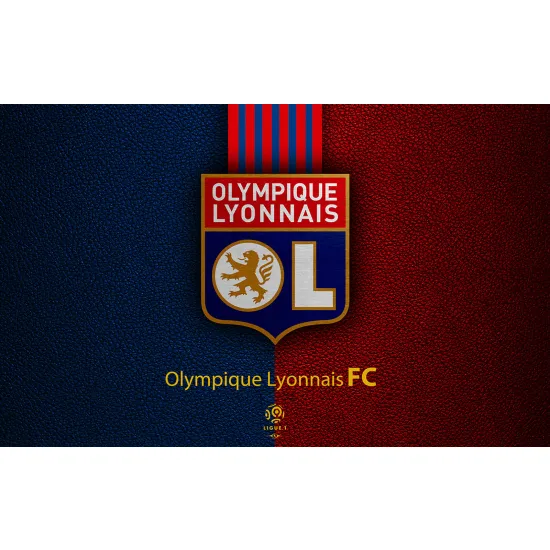 Panoramic Wallpaper - Wall Mural Foot / Football - OL - Olympique Lyonnais