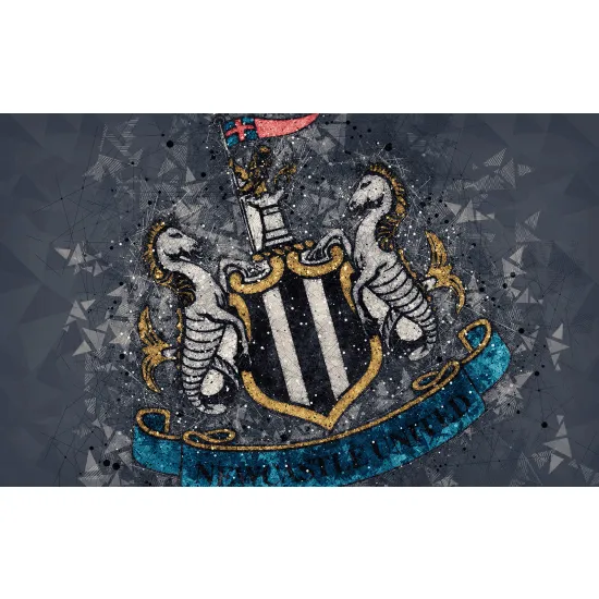 Papier peint panoramique Foot / Football