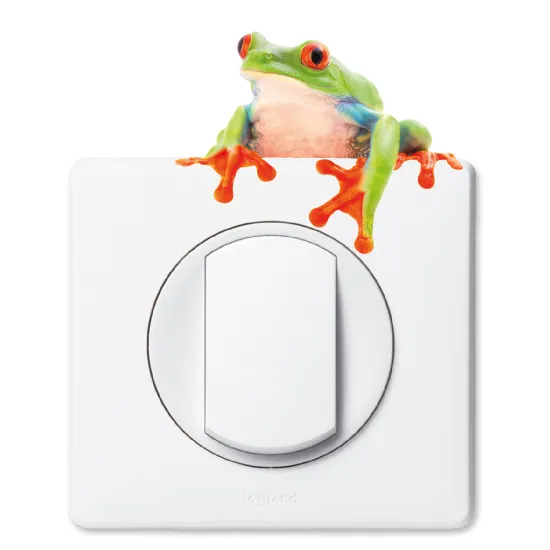 Light Switch Sticker - Frog